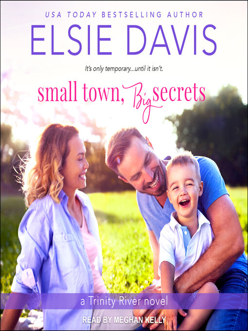 Title details for Small Town, Big Secrets by Elsie Davis - Wait list